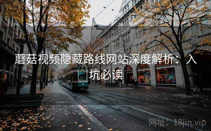蘑菇视频隐藏路线网站深度解析:入坑必读