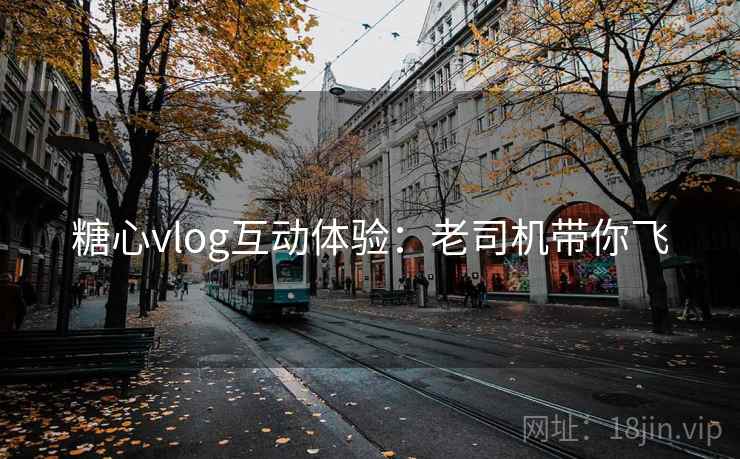 糖心vlog互动体验:老司机带你飞