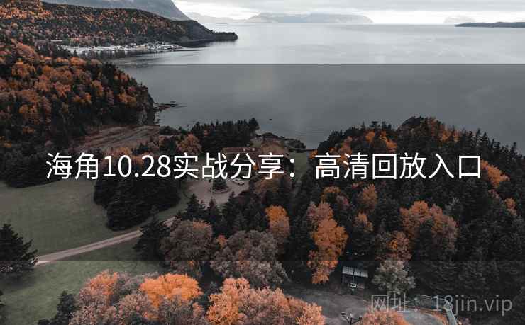 海角10.28实战分享:高清回放入口